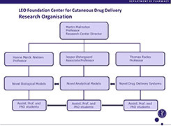 LEO Foundation Center for Cutaneous Drug Delivery - Research Organization (pdf)