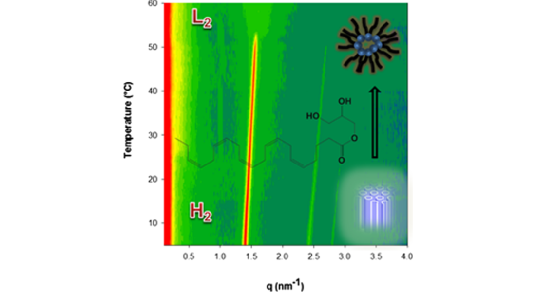 BRAIN-PENetrating cubosomal and hexosomal NANOcarriers for glioma-targeting delivery