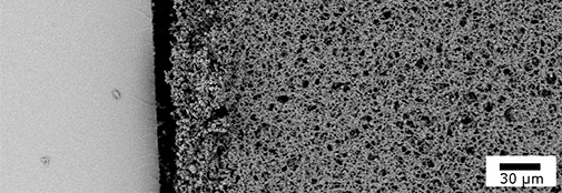 Monolith in microfluidic channel (left) Foto